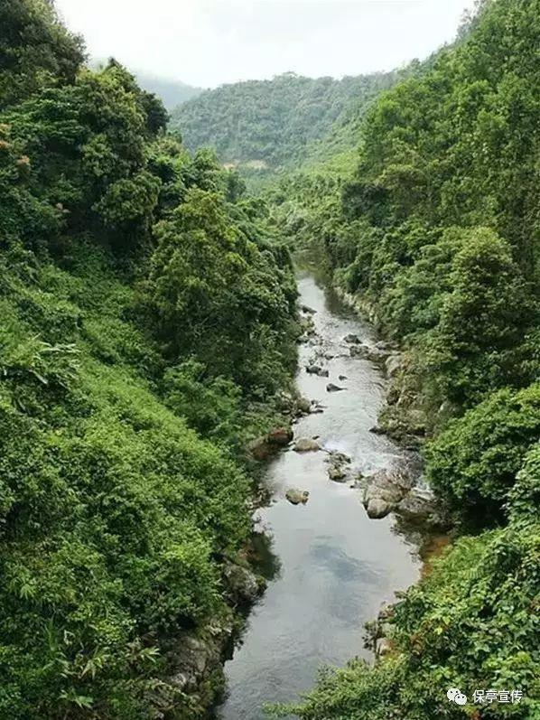 美丽小空姐